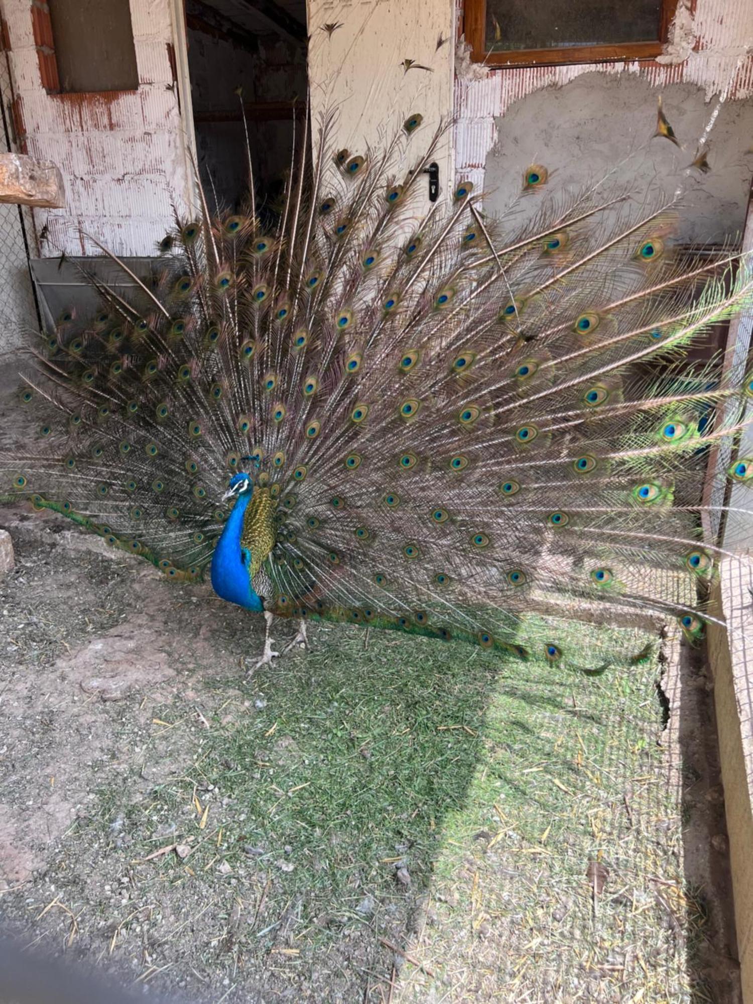 El Burgo De Osma Alojamiento Rural Villa Bagh 외부 사진