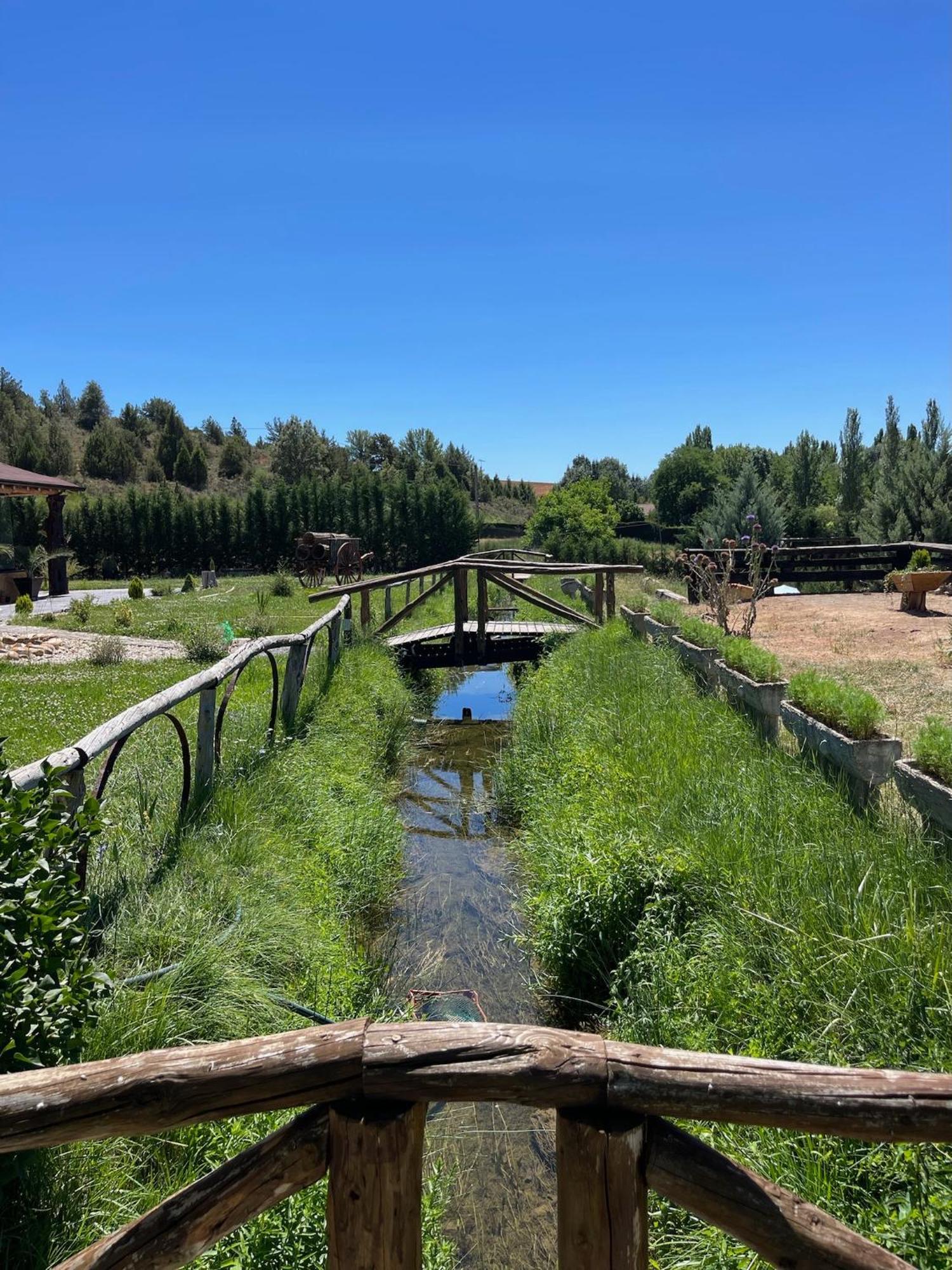 El Burgo De Osma Alojamiento Rural Villa Bagh 외부 사진